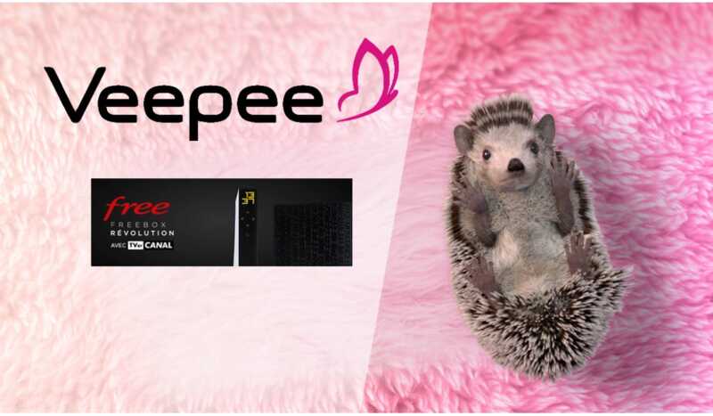 La Freebox en vente privée, c'est parti !