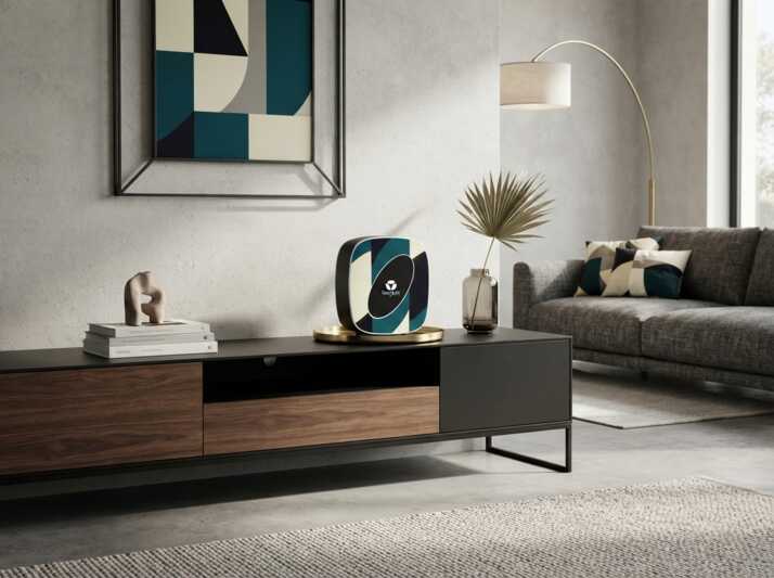 Objet de décoration sur un meuble TV en bois et métal dans un salon avec canapé et tableau.