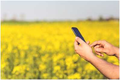 Téléphonie mobile : Comment se porte le marché au 3ème trimestre 2017 ?