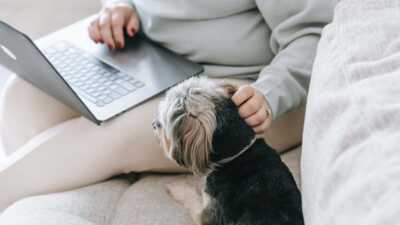 Battle de box internet : Vente privée Freebox vs SFR Box