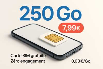 Forfait 250 Go Lebara à 7,99 €/mois