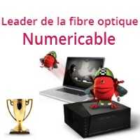 Numericable Internet : Des résultats en hausse au premier trimestre 2013