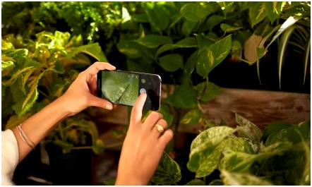 Baisse de prix : Le Nexus 5x à prix Free !