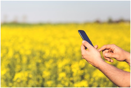 Téléphonie mobile : Comment se porte le marché au 3ème trimestre 2017 ?