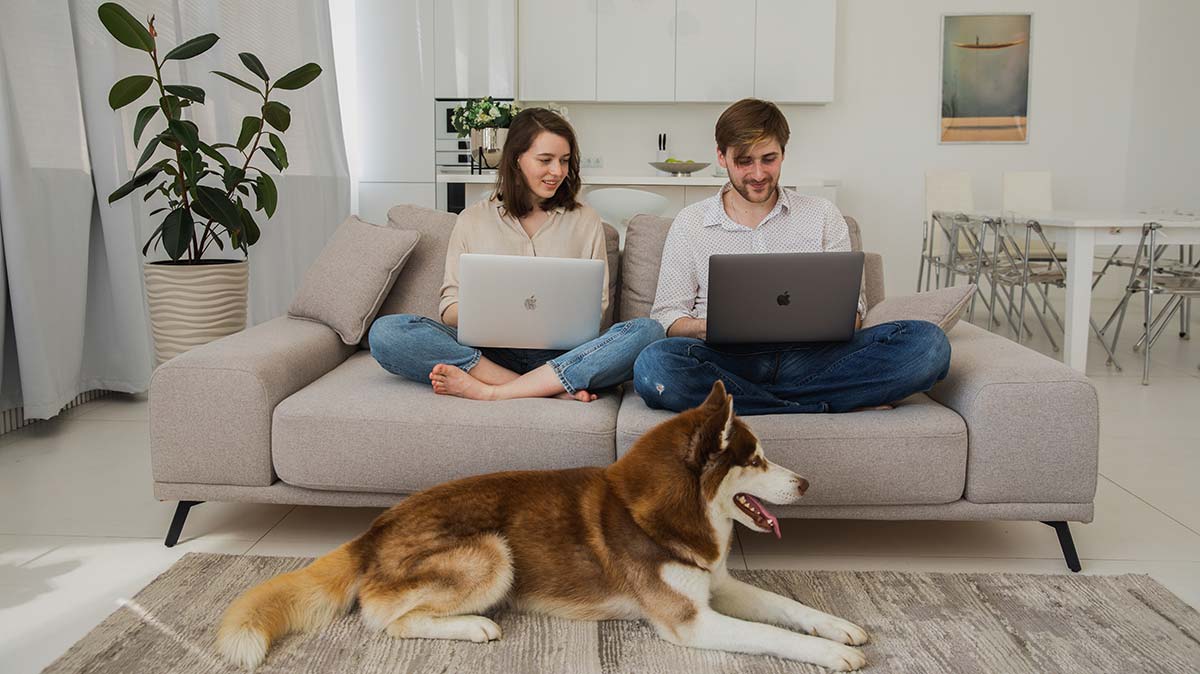 Box internet sans engagement en promo : RED Box contre Boîte Sosh