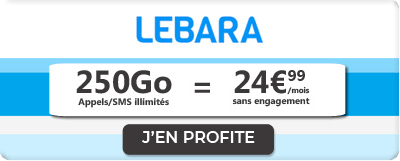 Forfait 250 Go Lebara