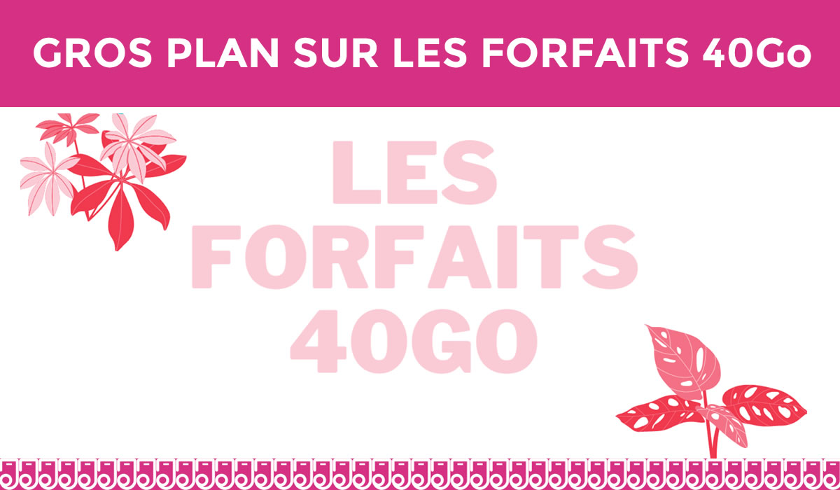 Gros plan sur les forfaits 40Go à tout petits prix !