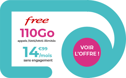 forfait free Mobile 110 Go