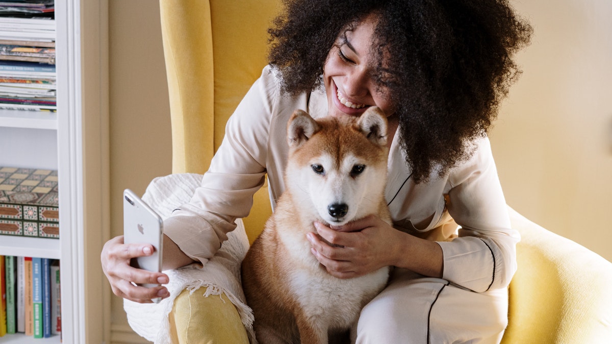 Sosh vs Free Mobile : quel est le meilleur forfait à 80 Go ?