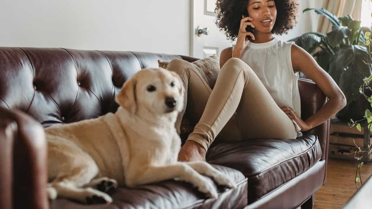 Un forfait 100 Go à moins de 10 euros ? Découvrez les offres de Coriolis Telecom et Syma Mobile !
