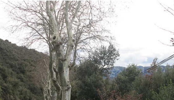 Zones blanches : Bouygues Telecom annonce l'ouverture de son premier site en RAN-Sharing 3G 