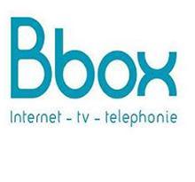 Bouygues Telecom va lancer une série limitée Bbox pour Noël