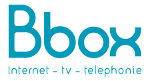 Bouygues Telecom  atteind 300 000 abonnés Bbox