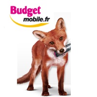Zoom sur les offres Budget Mobile