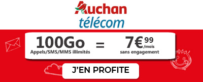 promo Auchan 100Go