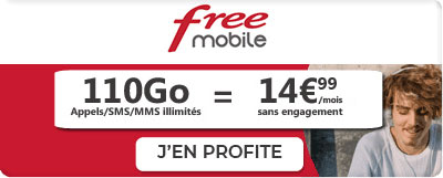 forfait free Mobile 110 Go