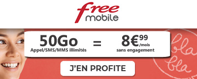 forfait free vente privée