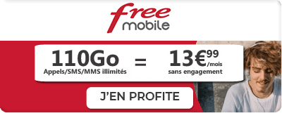 Forfait Free 110 Go en promo