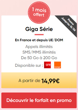 forfait prixtel 100go