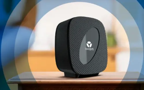 fibre pure plus bandyou