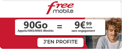 Forfait Free 90 Go 